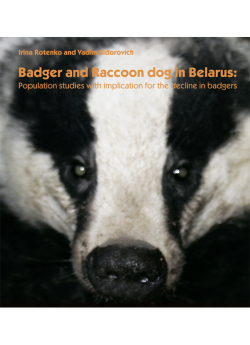 Badger Meles meles  and  Raccoondog Nyctereutes procyonoides inBelarus: Populationstudies with implication for the decline in badgers
