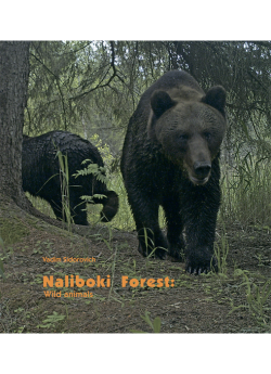 Sidorovich V. E. Naliboki Forest: Land, Wildlife and Human. Volume II. Wild animals